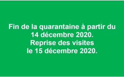 Fin de la quarantaine et reprise des visites